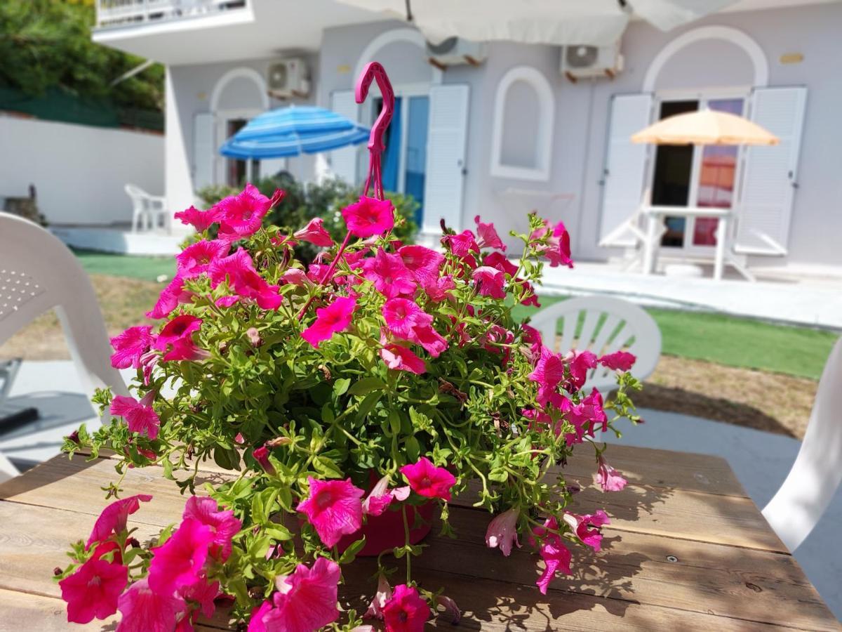 Leta Apartments Agios Georgios  Zewnętrze zdjęcie